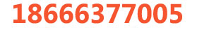 联系电话：18666377005